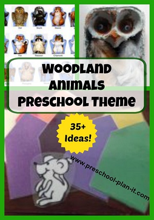 Woodland Animals Theme for Preschool