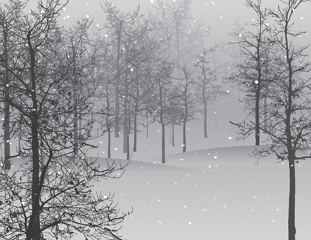 preschool winter themes themees