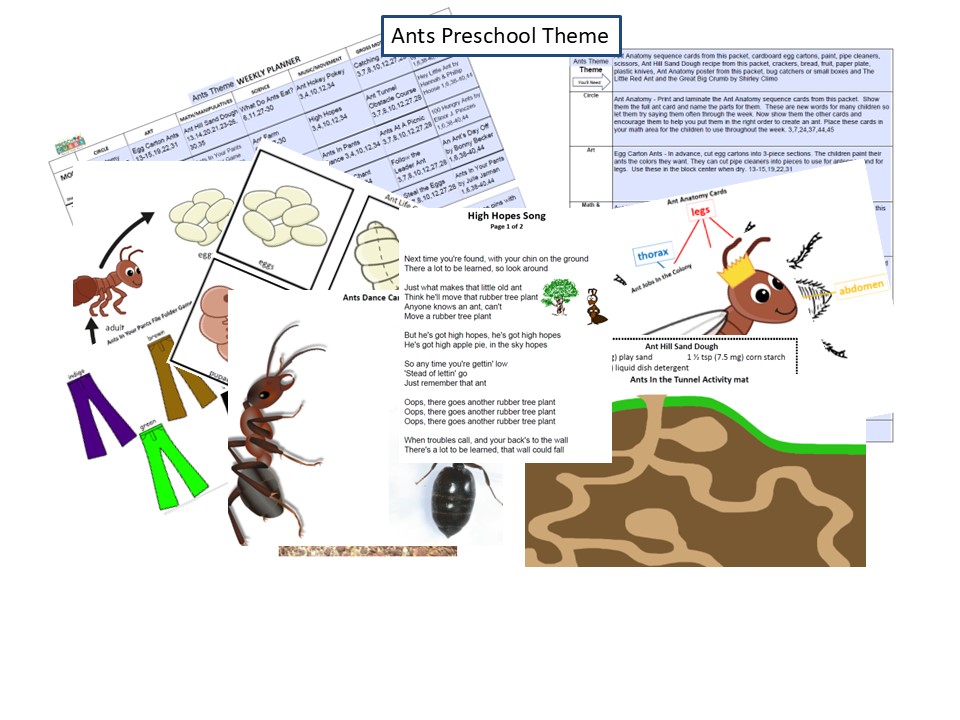 ants resource banner image