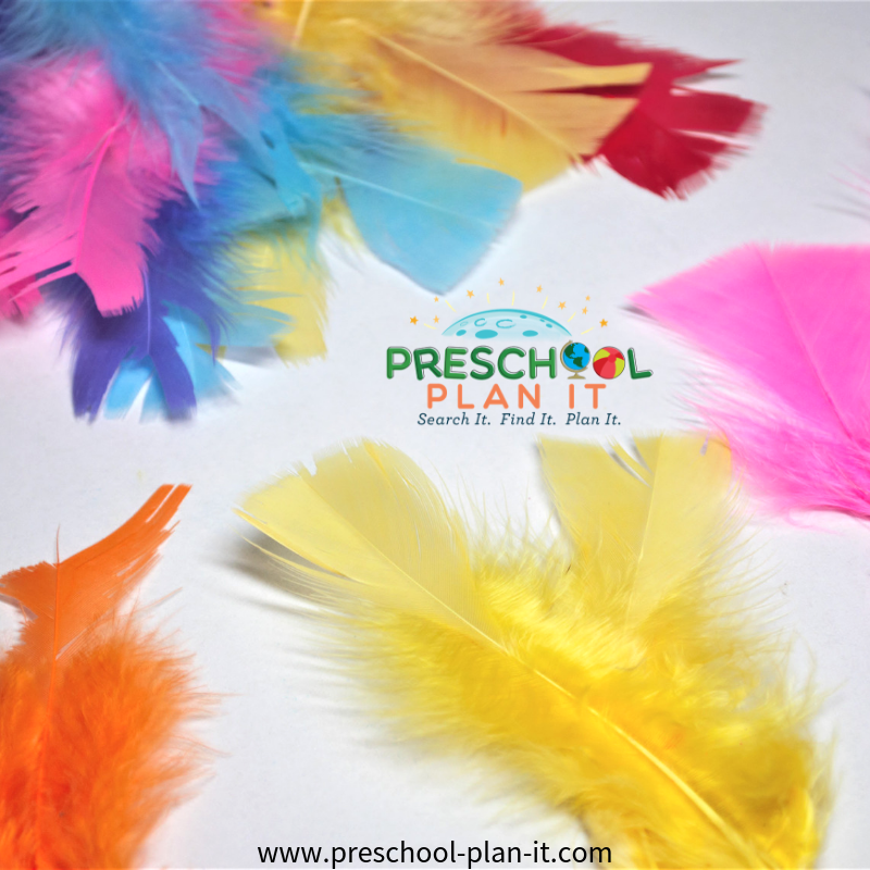 Feather sorting for a Preschool Birds Theme