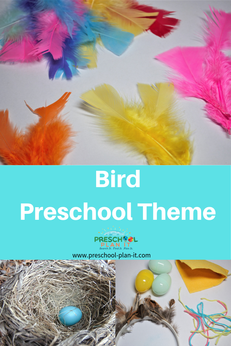 Hands-On Bird Nest Crafts that Blend Science and Art - Project Learning Tree