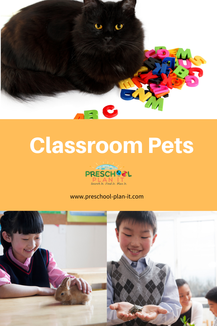 Preschool Classroom Pets