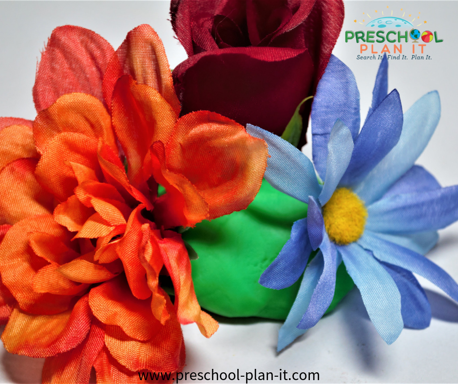 Growing Flowers Preschool Theme Flower Arranging Math Activity