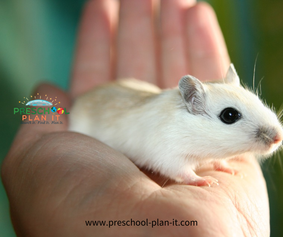 Mice as Classroom Pets