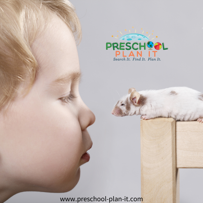 Mice Preschool Theme Classroom Visitor