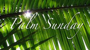 Palm Sunday Preschool Theme