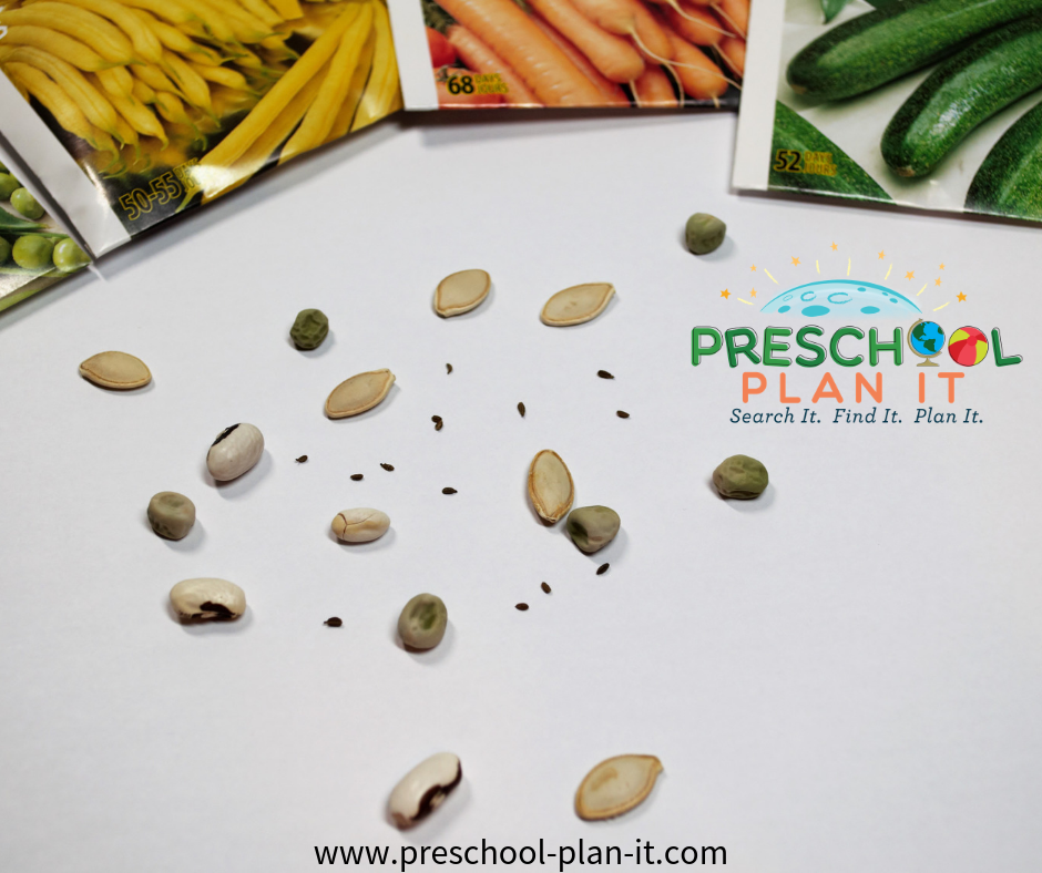 Seed Mosaic Art for a Planting Seeds Preschool Theme