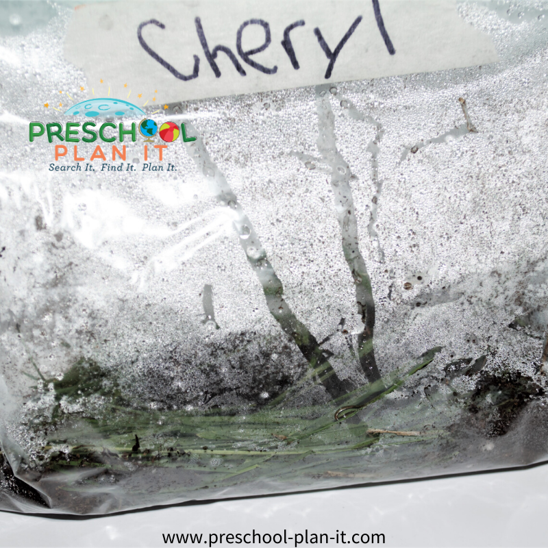 Preschool Rain Theme Science Activity