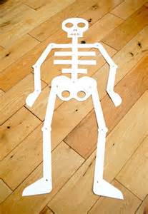 how to make a human skeleton model out of cardboard