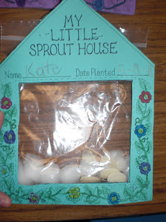 Home Theme for Preschool