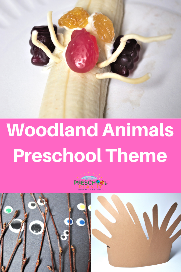 Woodland Animals Theme for Preschool