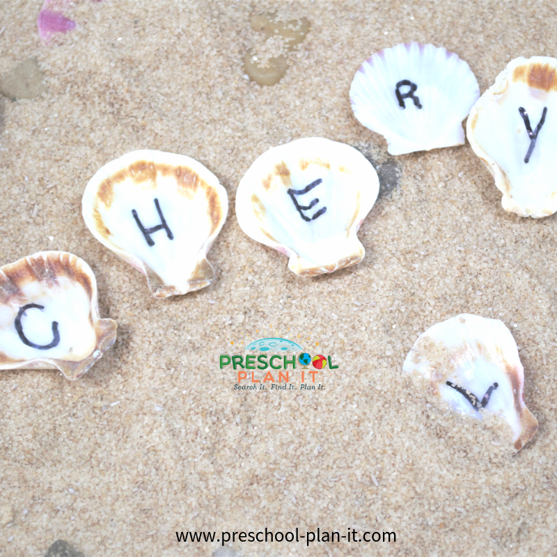 Beach Shell Names Activity for Preschool Beach Theme