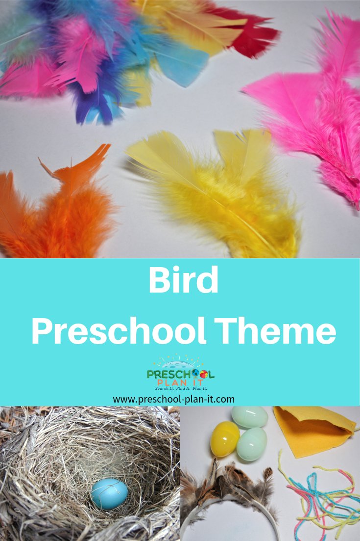 Bird Theme for Preschoolers