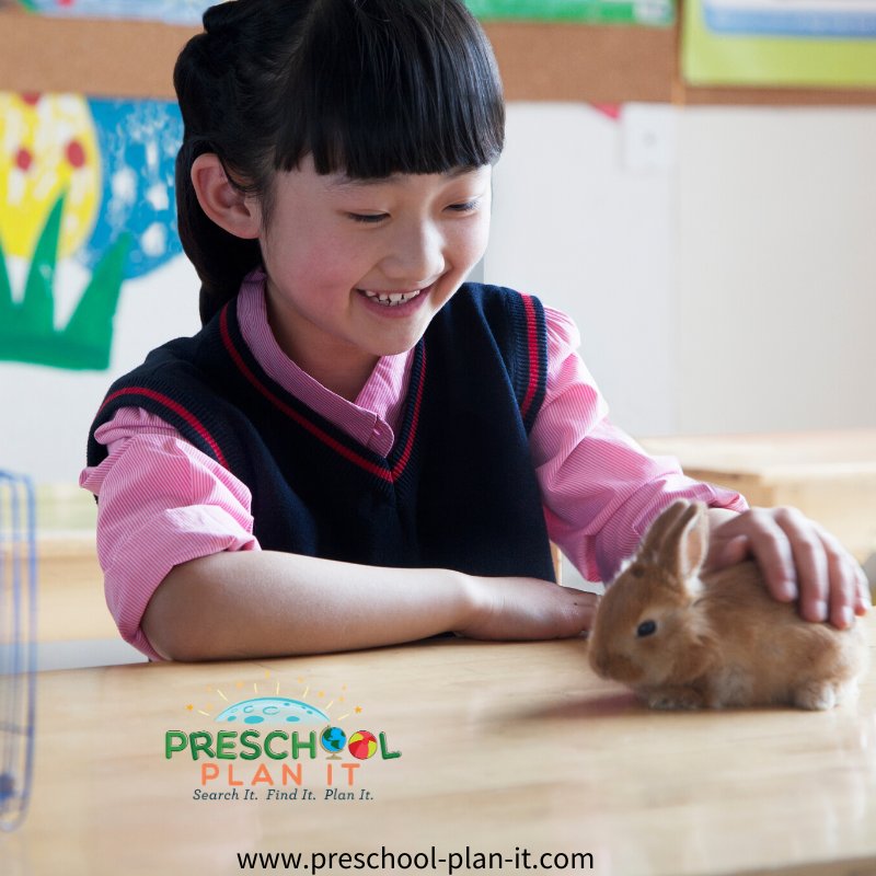 Preschool Classroom Pets