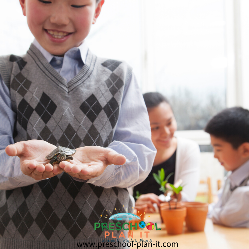 Preschool Classroom Pets