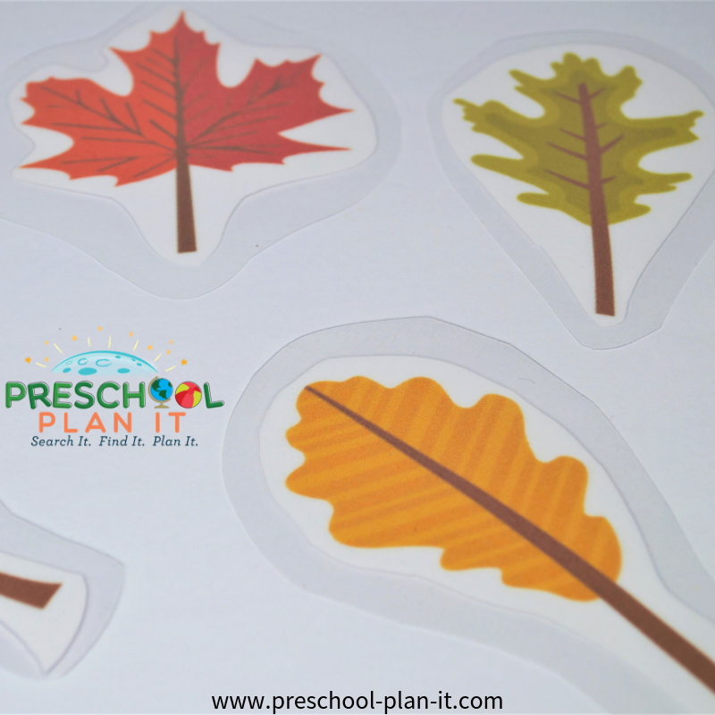 Fall Leaves Preschool Theme Matching Game