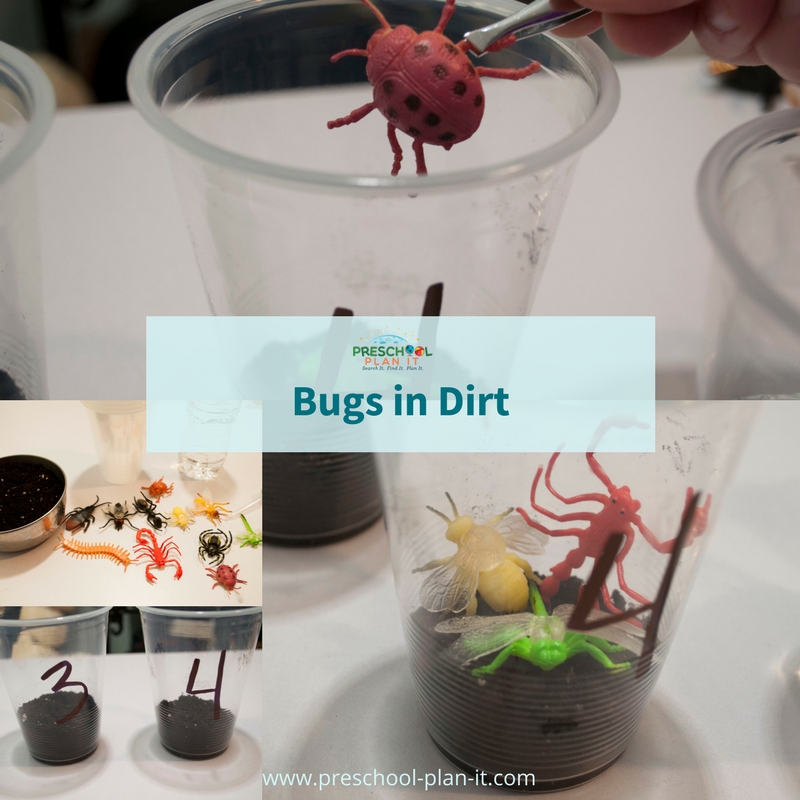 Bugs and Insects Preschool Theme