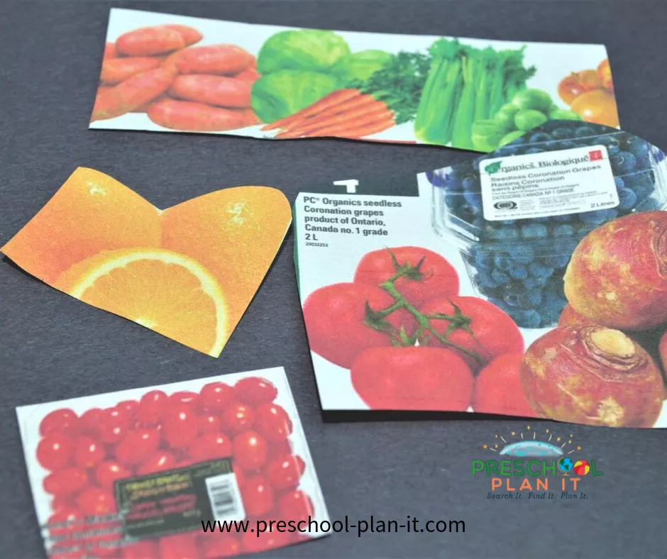 Nutrition and Food Groups Preschool Theme