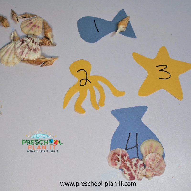 Sea Shell Matching Game  for Preschool Summer Theme